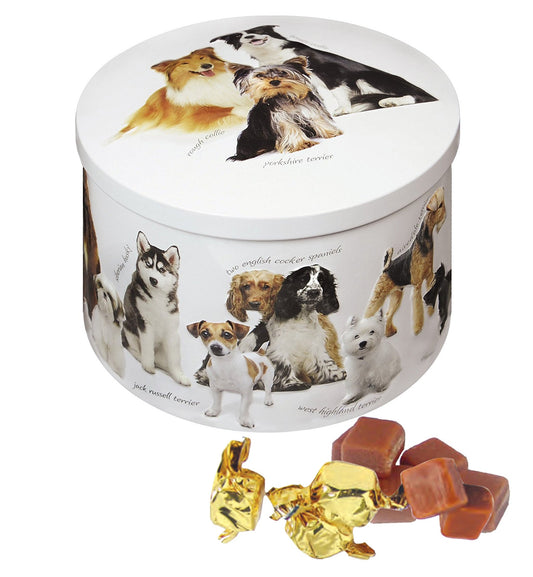 Dogs Tin - Vanilla Fudge